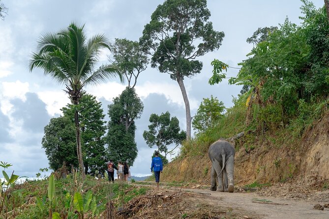 Patong Highlight Elephant Sanctuary with Guide Tour - Why This Tour Is a Win for Ethical Travelers