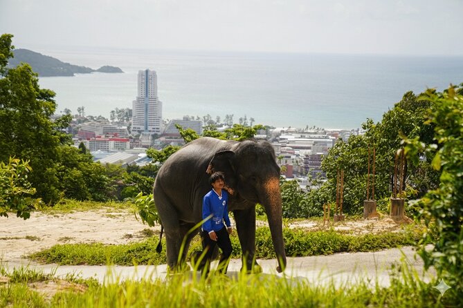 Phuket Ethical Elephant Sanctuary Guided Tour and Hotel Transfers - How the Tour Works: A Step-by-Step Breakdown