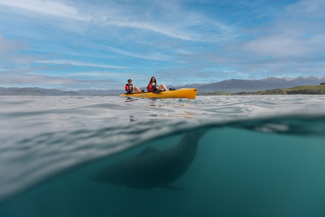 Private Seal Kayaking and Wildlife Tour in Kaikoura - An In-Depth Look at the Kaikoura Seal Kayaking Experience