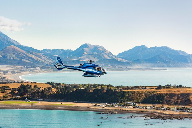 Kaikura Whale Watching and Scenic Landing - 1hr Premier Tour - Who Should Consider This Tour?