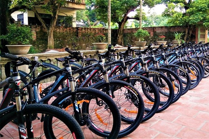 Ninh Binh Shared Small Group Tour with Transport and Lunch - What’s Included and What’s Not
