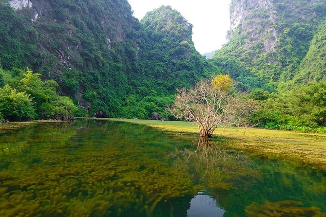 Ninh Binh Day Tour: Bai Dinh Trang An boat trip - FAQ