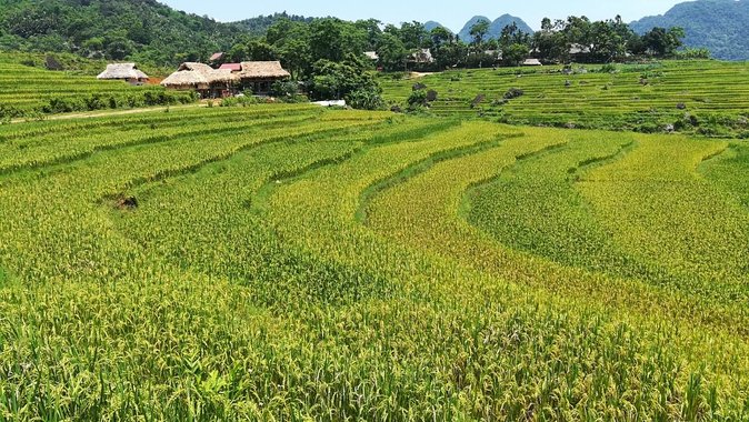 Private transfers From Hanoi to Puluong or From Puluong to Hanoi - Who Should Consider This Service?