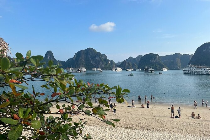 Best Halong 1 Day with Premium Cruise, Buffet Meal, Sunset Party - FAQ
