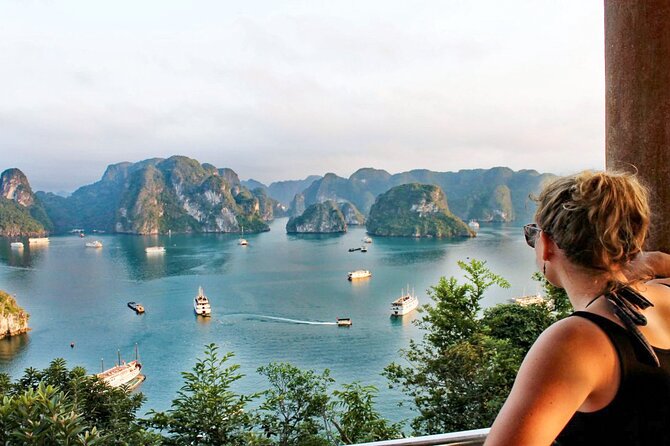 Best Halong 1 Day with Premium Cruise, Buffet Meal, Sunset Party - What the Reviews Say