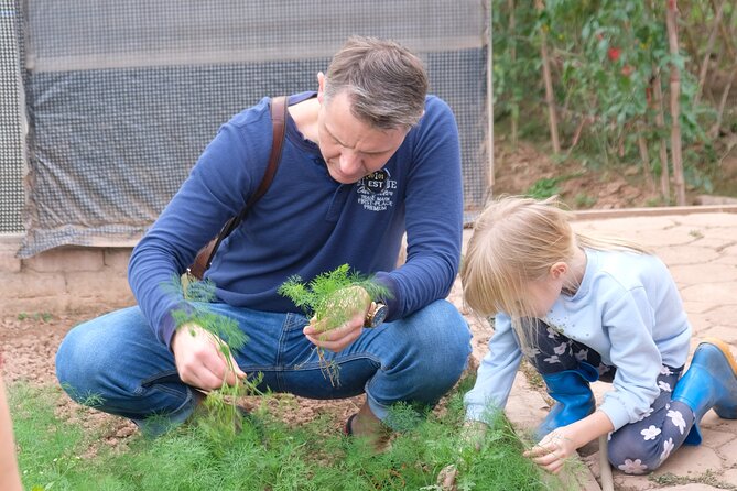 Jeep Experience Pure Vietnamese Agriculture Tour - An In-Depth Look at the Tour