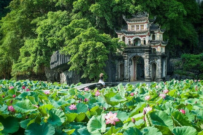 Full Day Tour from Hanoi with Cave Visits - Introduction: A Day Trip to Ninh Binh Worth Every Penny