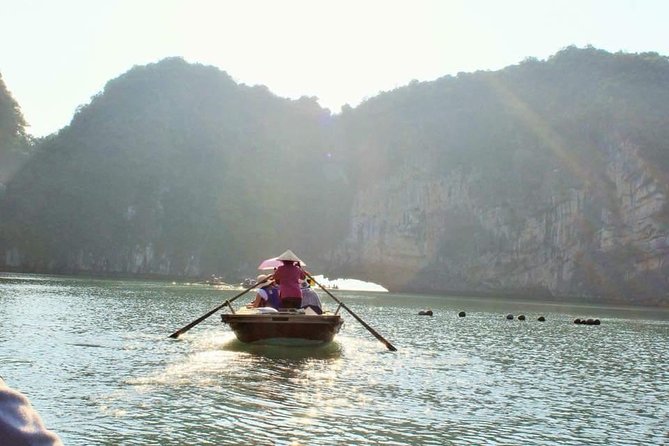 Halong Bay Nature Heritage day trip - Authentic Feedback and Tips from Past Travelers