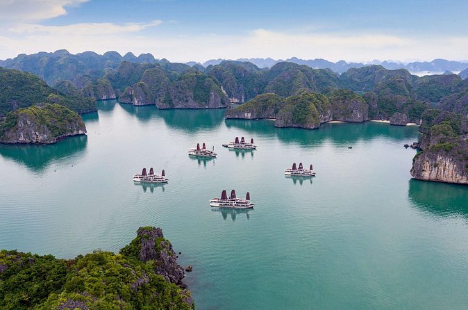 Orchid Trendy Cruise Halong Bay 2 Days/1 Night 5 Star Cruises - Practical Tips for Your Trip