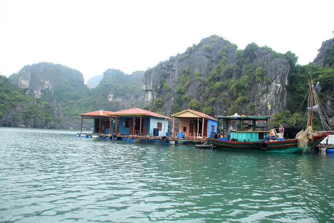 Bai Tu Long Bay Boutique Cruise: Visit Bai Tu Long bay & Overnight boat in 2 day - Final Thoughts
