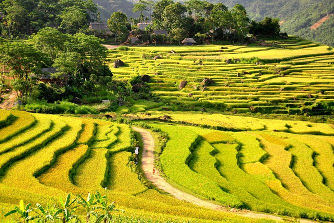 3-Day Trekking In Pu Luong Nature Reserve Private Tour - Authentic Experience or Scenic Walk?