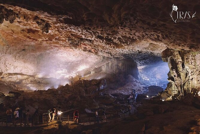 Halong Bay Cruise and Kayaking with Lunch and Music from Hanoi - Practical Considerations