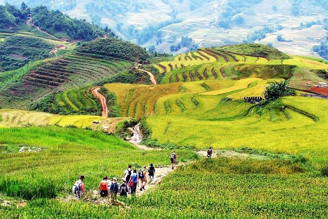 3 Days 2 Nights Sapa Trekking from Hanoi - Key Points
