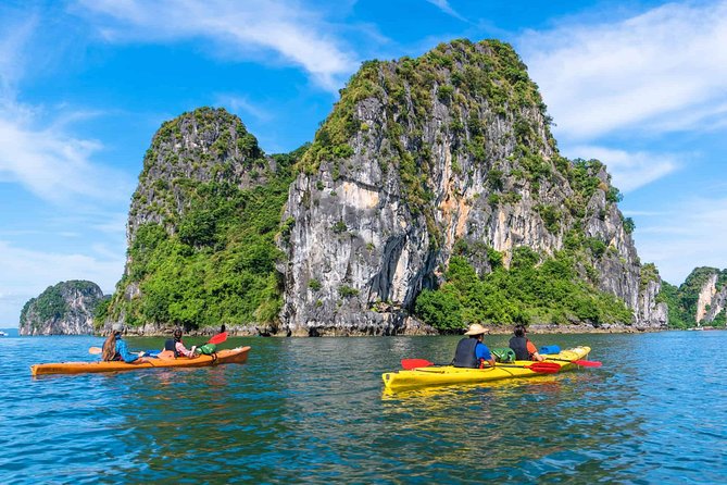 Best Premium Halong Bay Cruise from Halong International Port - The Experience for Different Types of Travelers