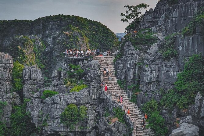 Day Trip from Hanoi to Ninh Binh Hoa Lu, Trang An, and Mua Cave - Who Will Love This Tour?