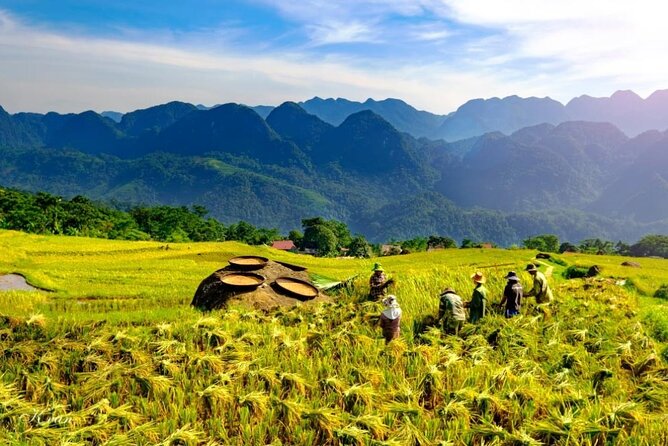 Discovering Mai Chau Private Tour from Hanoi - Authentic Experiences and Real Traveler Insights