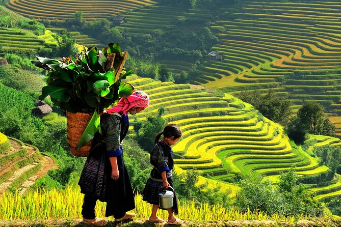 From Hanoi: 3-Days Sapa Trekking and Bus Tour from Hanoi - Key Points