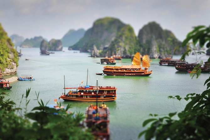 Halong Bay Day Cruise with Bamboo Boat Ride or Kayaking - FAQ: Practical Questions About the Tour