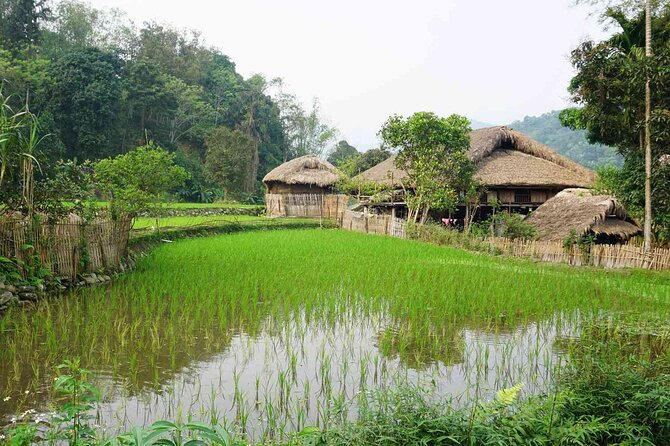 Package Ha Giang Loop Tour by Car 4 Days 3 Nights - Final Thoughts