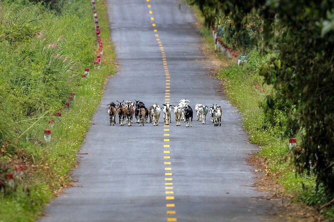 2-Day Adventure Cat Ba Archipelago, Viet Hai Village & Lan Ha Bay - Key Points