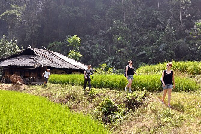 Best Hanoi - Ba Be Lake 3 Days 2 Nights Tour - Who is This Tour Best For?