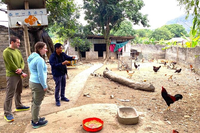 Small Group of 11 Discover Ninh Binh: Hoa Lu, Tam Coc, Mua Caves - The Sum Up