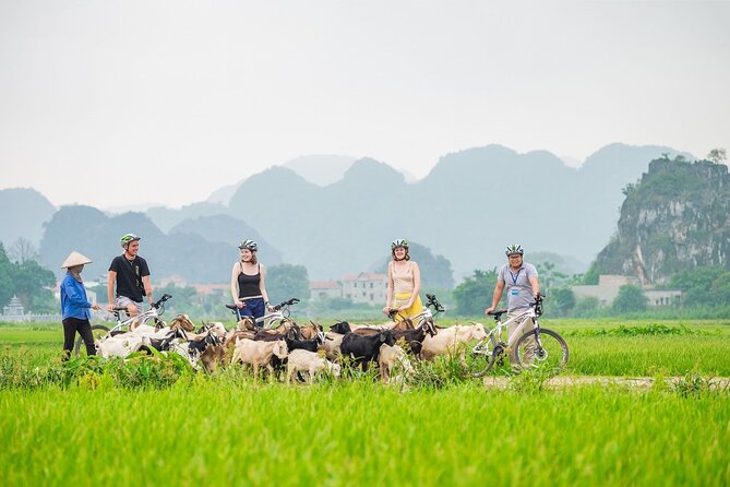 Small Group of 11 Discover Ninh Binh: Hoa Lu, Tam Coc, Mua Caves - Key Points