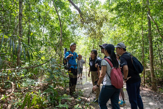 Suoi Tien 4-Hour Jungle Easy Trek and Spring Bath - In-Depth Review of the Tour