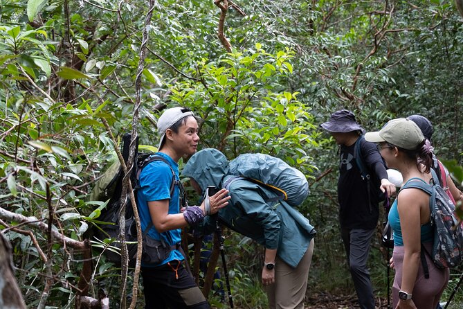 Suoi Tien 4-Hour Jungle Easy Trek and Spring Bath - FAQ