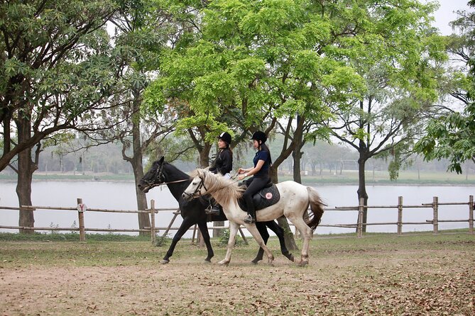 Hanoi Horseback Riding Club & Tours - Exclusive Experience - Who Will Love This Tour?