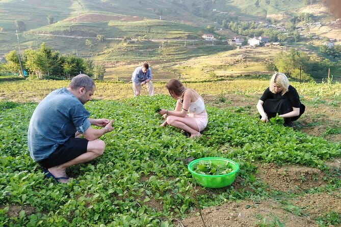 3-Days Sapa Trekking With Local Guide Overnight in Tavan Village - What the Tour Includes and What to Consider