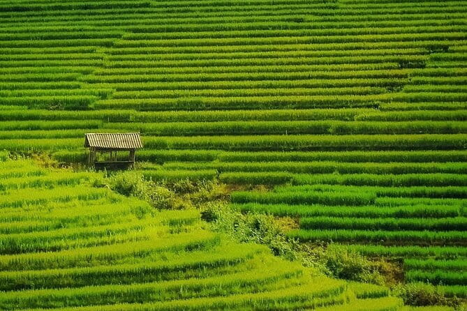 Sa Pa Trekking 2 Days 3 Nights Homestay by Night Train - A Journey Into the Heart of Sapa