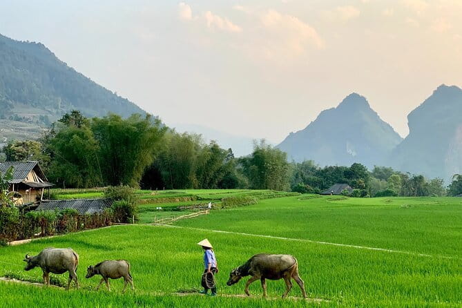 Sa Pa Trekking 2 Days 3 Nights Homestay by Night Train - Authentic Experiences That Keep Coming Up