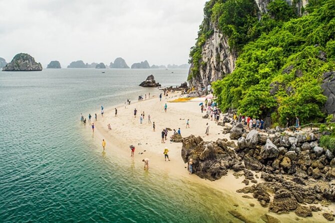Halong Bay Luxury Day Cruise from Hanoi - Final Moments: Return to Tuan Chau and Hanoi