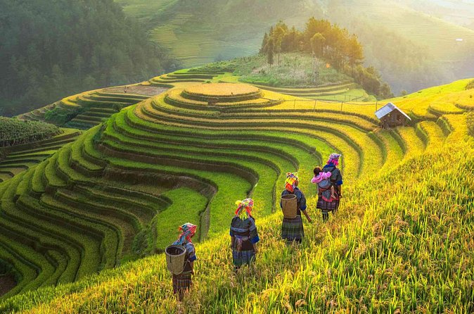 Sapa 2 Days 1 Night From Hanoi - FAQ