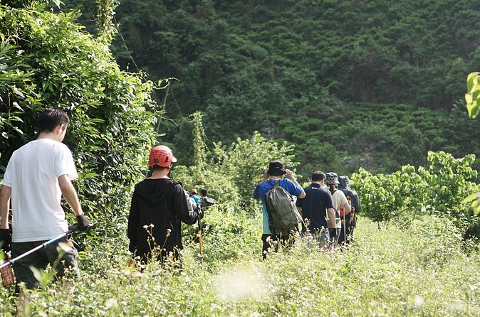 Lan Ty Expedition Abseiling the Eye of God Mountain Snail Cave - The Sum Up: Is Lan Ty Expedition the Right Choice for You?