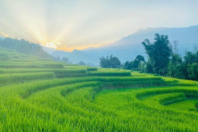 From Hà Ni ; Mu Cang Chai 3 Days 2 Nights By Car and Trekking - In-Depth Review of the Mu Cang Chai 3-Day Tour