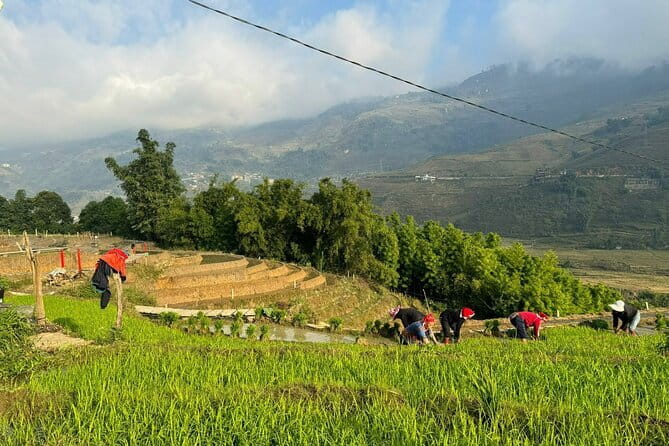 From Hà Ni ; Mu Cang Chai 3 Days 2 Nights By Car and Trekking - FAQ