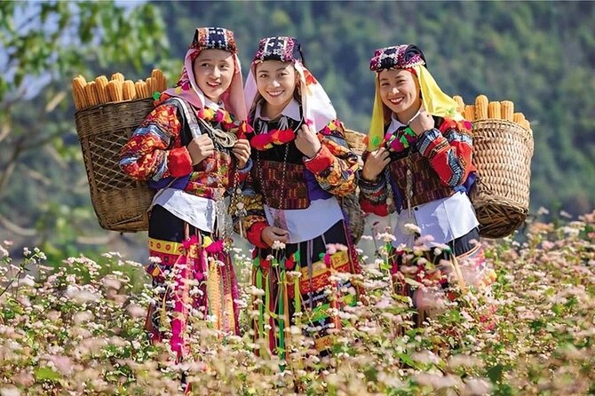 Into the Highlands A Ha Giang Cultural Journey from Hanoi - Overview of the Tour Experience