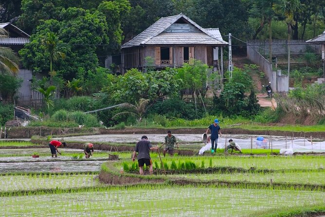 Best Mai Chau Day Trip: Explore Hidden Charms and Village Life - What Makes This Tour Special?