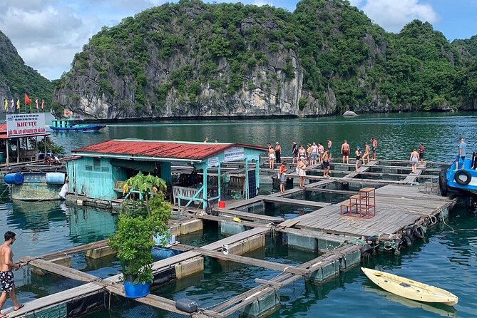 From Hanoi: 2 Days Adventure in the National Park and Lan Ha Bay - Who Should Consider This Tour?