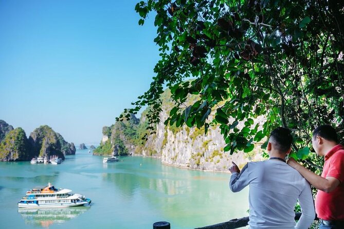 Halong Bay Deluxe Day Cruise from Ninh Binh - Experience the Magic of Halong Bay on a Day Cruise from Ninh Binh