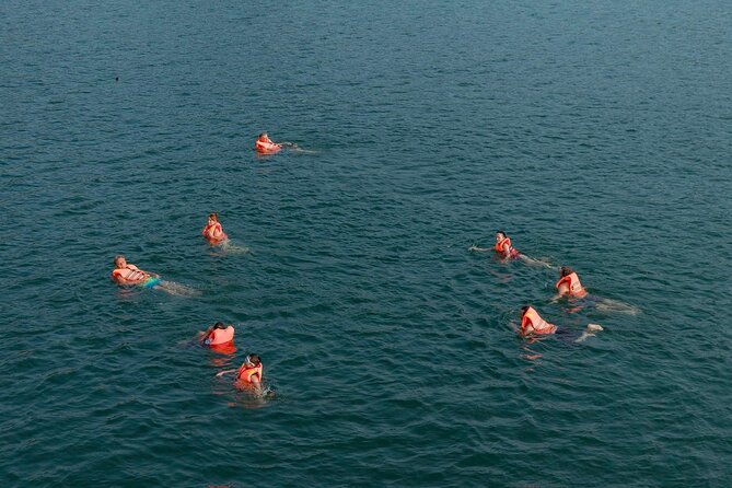 JadeSails - Top Luxury Day Cruise Discover Halong & Lan Ha Bay - Who Is This Tour Best For?