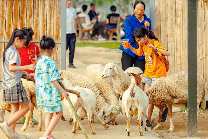 Colorful Rainbow Slide Experience - The Value of the Experience