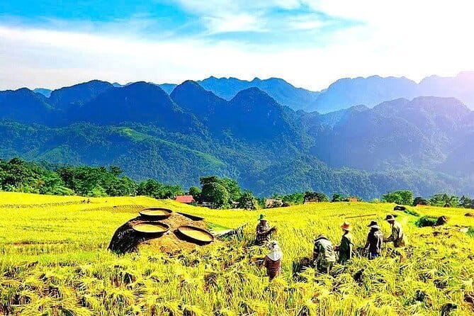Pu Luong 2 Days Trekking & Village Experience with local Family - What to Expect When You Book