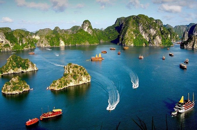 Unwind in Halong Bay 2 Days 1 Night Luxury Cruise from Hanoi - Food and Beverage Experience