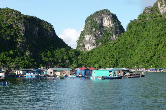 From Hanoi: Off-the-Beaten-Path Bai Tu Long Bay Scenic Cruise - Good To Know