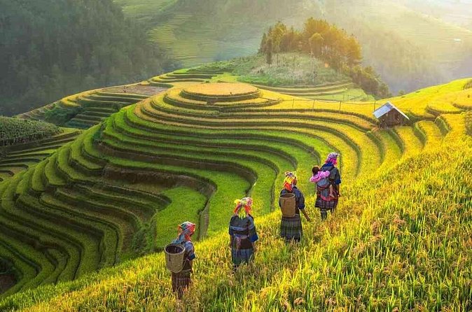 Shared 2 days and 1 night Sapa Trekking Adventure - FAQ