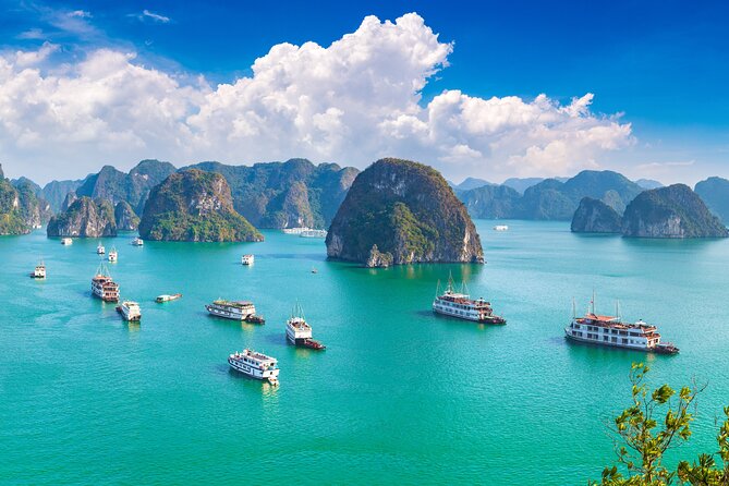 5-Star Halong Bay Day Cruise Limousine, Kayak & Seafood Lunch - Who This Tour Is Best For