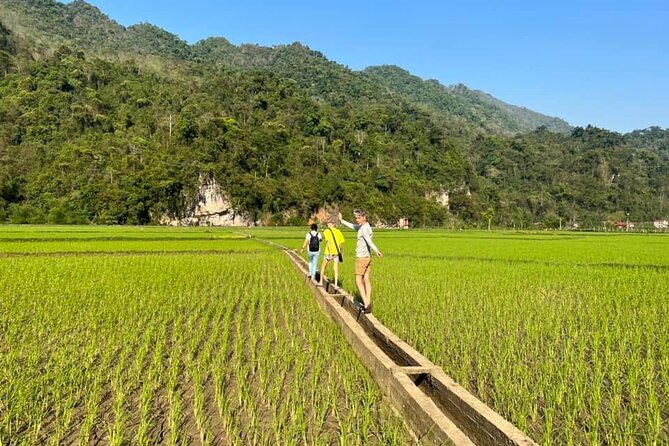 2-Day Ba Be Lake With Boat Trip, Swimming, Kayaking And Cycling - Activities in the Morning: Cycling and Cave Exploration